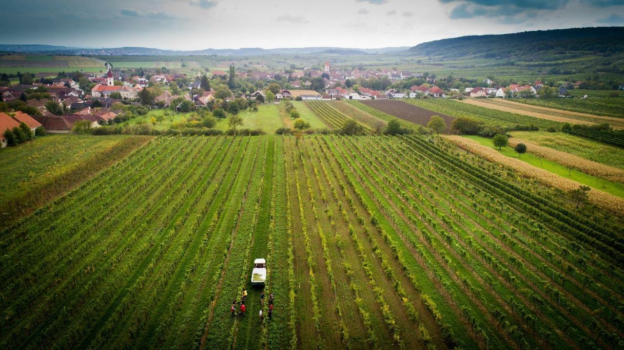 Отель Weingut Familie Krell Mitterretzbach Экстерьер фото